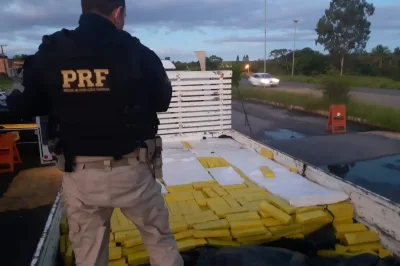 Alagoinhas: PRF apreende quase 2 toneladas de maconha em caminhão com placa clonada