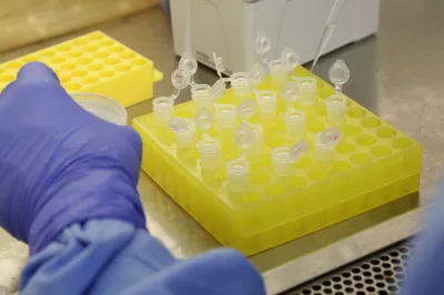 Covid-19: Confira o boletim epidemiológico divulgado pela prefeitura de Alagoinhas nesta terça (28)