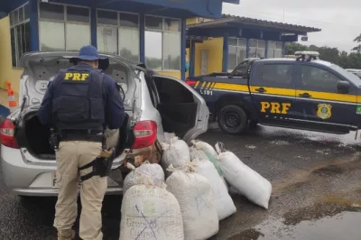 Alagoinhas: Casal é preso pela PRF com mais de 300 kg de maconha escondidos em carro