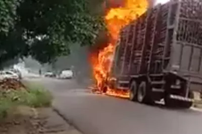 Caminhão carregado com madeira pega fogo na BA-504