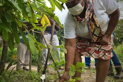 DIA DA ÁRVORE: Alagoinhas desenvolve projeto de recuperação de nascentes e promove o plantio de aproximadamente 250 mudas na comunidade quilombola do Cangula
