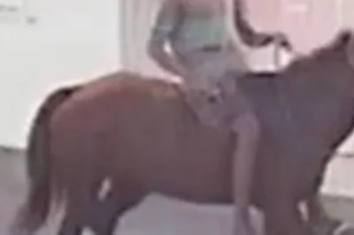 Bandido montado em cavalo assalta duas pessoas em Alagoinhas