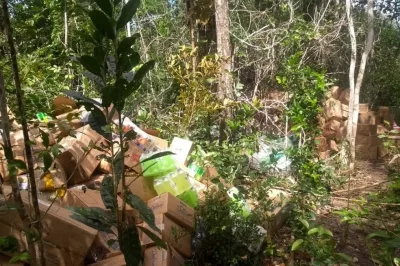Carga de alimentos e produtos higiênicos é encontrada em plantação de eucalipto em Entre Rios