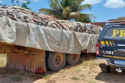 Carga com 18 mil quilos de couro bovino é apreendida pela PRF na Bahia