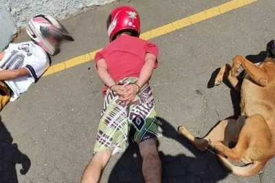 Cachorro caramelo deita ao lado de suspeitos em abordagem policial e imagem viraliza