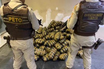 Polícia apreende 150 kg de maconha em veículo em Feira de Santana