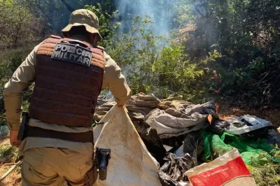 Quatro mil pés de maconha e acampamento são destruídos às margens do Velho Chico