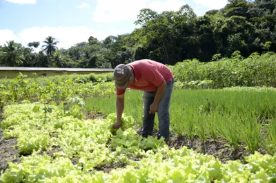Alagoinhas participa de mapeamento nacional 2022 sobre ações de segurança alimentar e nutricional