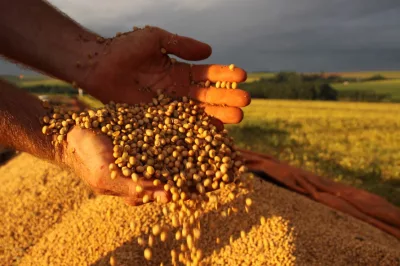 Produção de grãos em 2022 deve ser 8,2% maior do que recorde de 2021, diz IBGE