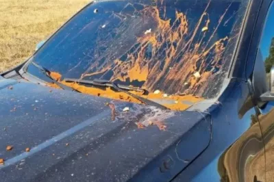 Juiz que determinou prisão de Milton Ribeiro tem carro atacado por fezes, terra e ovos