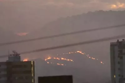 Incêndio atinge área de vegetação no oeste da Bahia