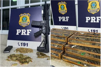 Após abordagem a ônibus PRF apreende fuzil, munição, droga e aves silvestres em Vitória da Conquista