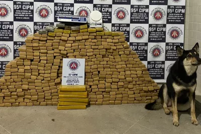 Cão farejador acha quase 500 tabletes de maconha dentro de barris de plástico em Catu