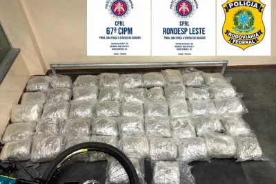 Polícia apreende mais de 50 kg de maconha na BR-116