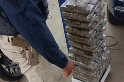 PRF apreende 65 kg de maconha com mulher que receberia R$ 1000 para transporte