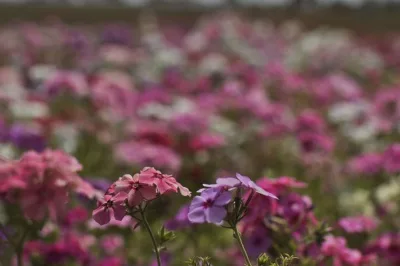 Inmet: primavera marca transição entre seca e chuva no centro do país