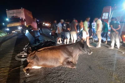 Esplanada: Motociclista morre após colidir com vaca na BR-101