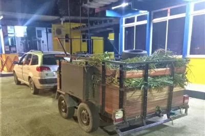 PRF apreende 2.000 caranguejos transportados irregularmente no Extremo Sul da Bahia