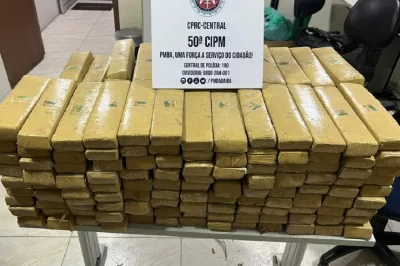 Polícia apreende 230 kg de maconha prensada em bairro de Salvador
