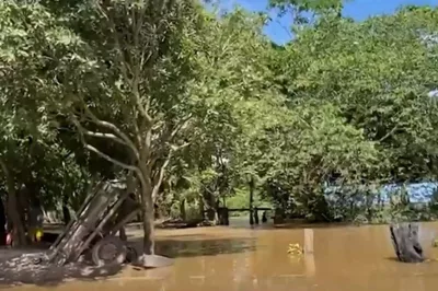 Ruas e casas ficam alagadas após nível de rio subir em cidade do extremo sul da Bahia