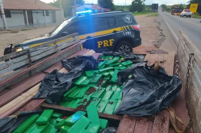 PRF apreende quase meia tonelada de maconha, na Bahia