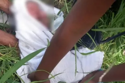 Após ouvir choro, mulher encontra bebê abandonado em matagal