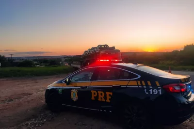 Operação Natal apreende drogas, localiza foragidos e veículos roubados