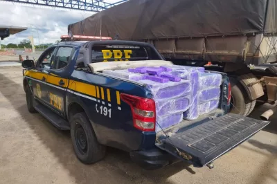 PRF apreende 680 kg de maconha sendo transportada em caminhão na BR 116 em Feira de Santana