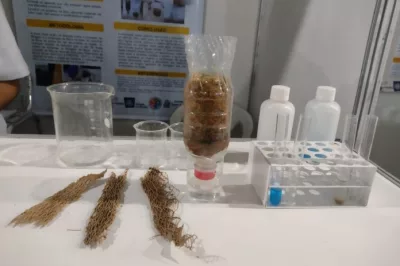 Jovens baianas utilizam fibra da palma para desenvolver filtro de baixo custo