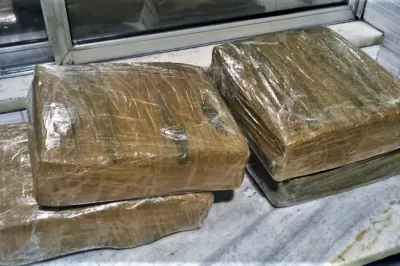 Alagoinhas: K9 Raia encontra maconha escondida em bagagem de mulher que viajava num ônibus interestadual