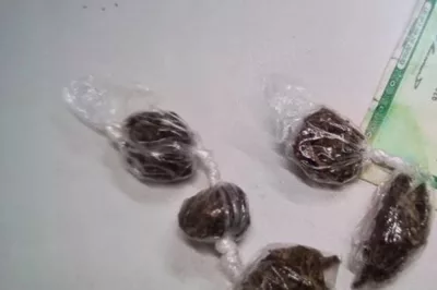 PRF prende dois homens com maconha em Alagoinhas