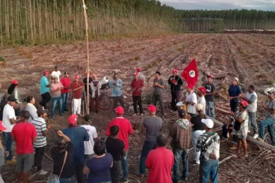 Três fazendas exportadoras de celulose são invadidas pelo MST no extremo Sul da Bahia