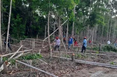 Integrantes do MST desocupam propriedades invadidas no Extremo Sul da Bahia