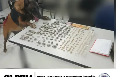 Cão do 8º BPM localiza ecstasy, maconha e cocaína, em Trancoso