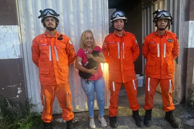 Em Eunápolis, gata prenha fica presa entre paredes e é resgatada por bombeiros