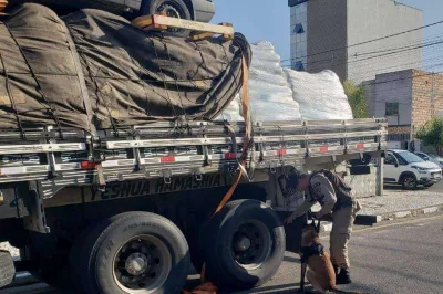 Mais de 100 kg de cocaína são achados escondidos em ração de peixe