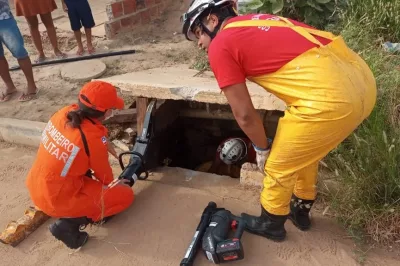 Filhote de cachorro cai em galeria de rua e é resgatado por bombeiros no Norte baiano