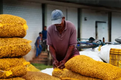 Feira de São João na Ceasa movimenta a economia baiana e traz produtos tradicionais a preços acessíveis