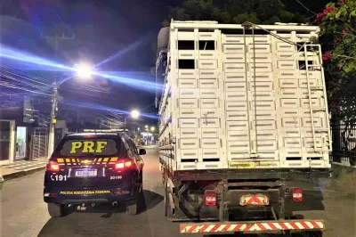 Carreta boiadeiro roubado é recuperado pela PRF na BR 101