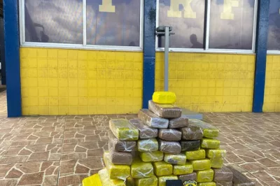 Alagoinhas: PRF apreende 49 kg de maconha na BR-101