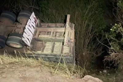 Acidente com caminhão deixa 3 animais mortos no interior da Bahia