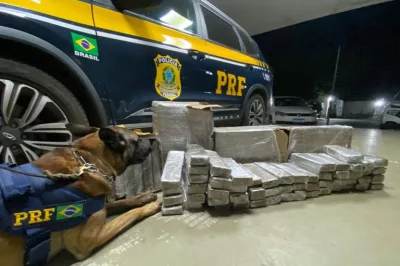 Na BR 116: PRF apreende tabletes de maconha que seriam comercializados em cidade do interior da Bahia