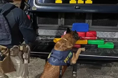 PRF realiza apreensão de mais de 15 Kg de cocaína em Feira de Santana durante a Operação Cão de Faro VI
