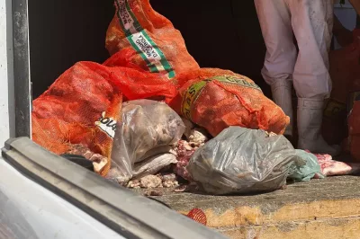 Cerca de 1 tonelada de carne imprópria para consumo é apreendida em operação na Bahia