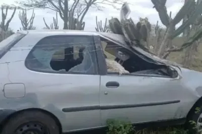 Homem é atropelado enquanto andava de cavalo na Bahia