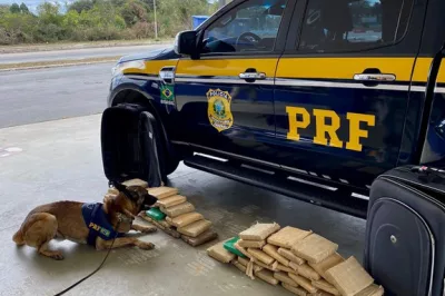 PRF prende dupla transportando quase 58 kg de maconha em Vitória da Conquista