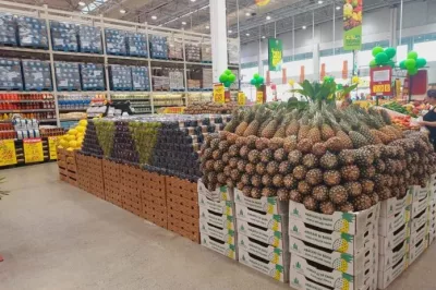 Agricultura familiar da Bahia avança na comercialização de abacaxi para outros estados brasileiros