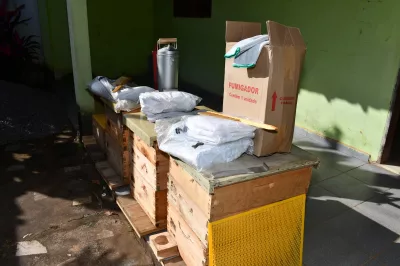 Apicultura: kits colmeia são entregues na região de Rio Branco