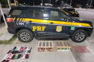 PRF resgata cerca de 300 aves em Paulo Afonso