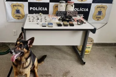 Polícia localiza drogas e munições em terreno baldio em Santo Antônio de Jesus